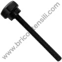 COMPA 300 JE-JET Pomello d.20 M6x60