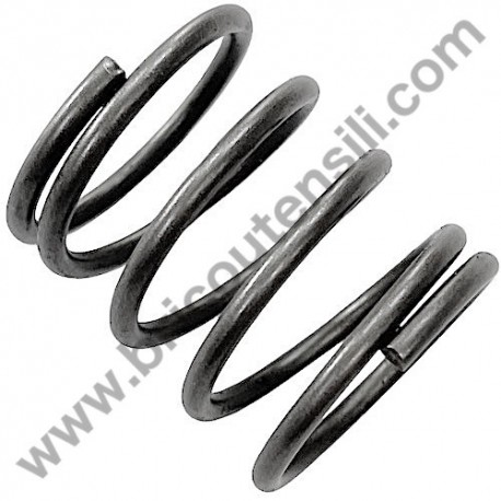 Lavor Molla Richiamo Pistone per FKX 1018