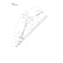 Maruyama Ricambi per Decespugliatore MX21 - Esploso Ricambi 1