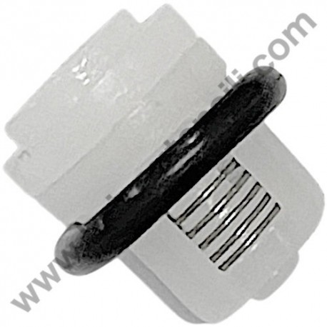RYOBI RY170PWA Valve Seat