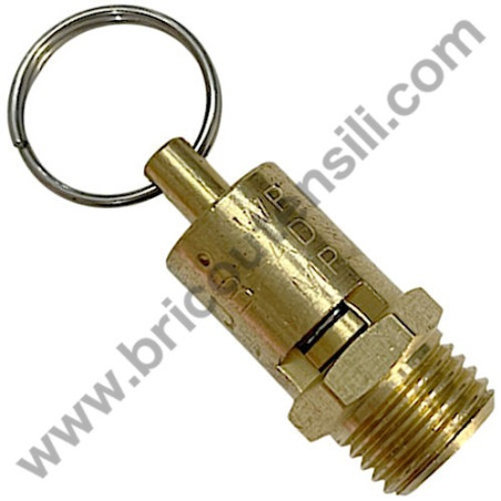 Michelin MCV 172 Safety Valve