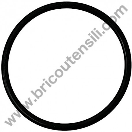 AR O RING per Idropulitrice AR8880