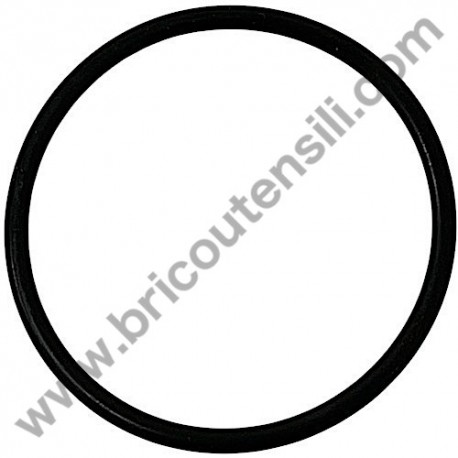 Annovi Reverberi O-R per Idropulitrice 2590