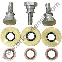 Lavor pressure washer TEKNA 4 1515 Kit Piston Screw