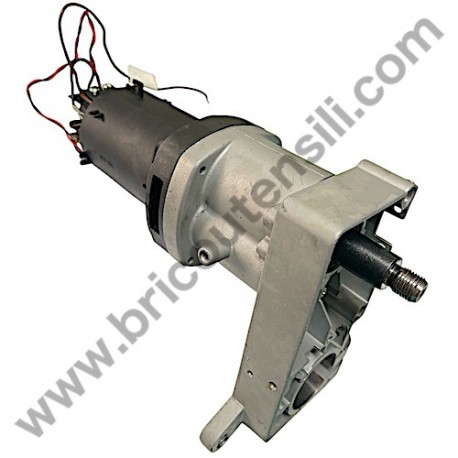 Femi Motor Assy for DIGI MAX 13