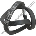 V-Belt for Transporter Meccanica Benassi MB500