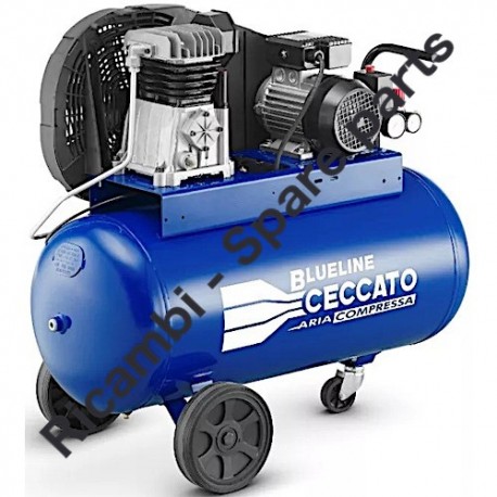 CECCATO BELTAIR PRO 90C2M 230/1/50 Ricambi