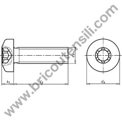 VITE TCB TORX M5X12 ACC.8.8 ZNB