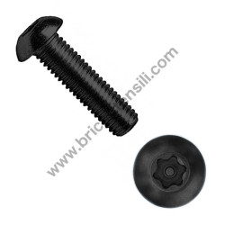 SCREW TC TORX