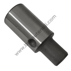 ALBERINO NUOVO HR3520