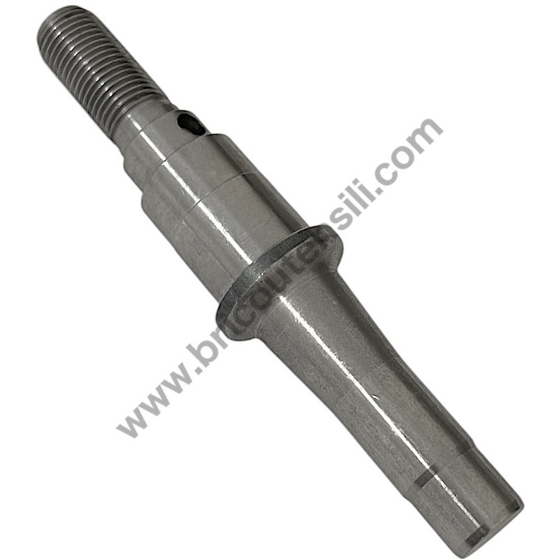 SPINDLE