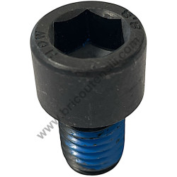 SCREW M14X20 MLT100 - 1