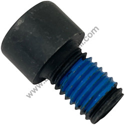 SCREW M14X20 MLT100