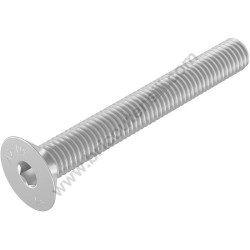 SCREW M3M25 A2-70