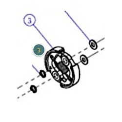 Clutch Assy