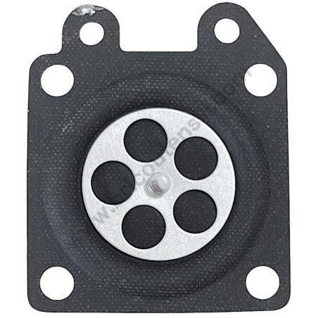 Diaphragm,Metering