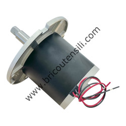 DC MOTOR - 1