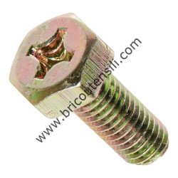 BOLT 5X10/S