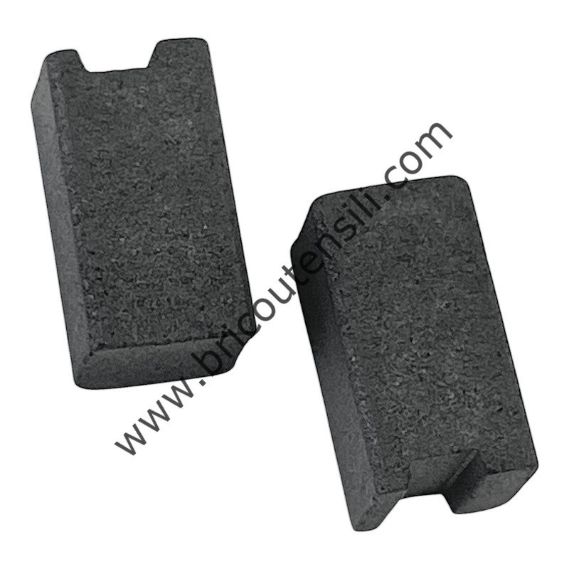 BRUSH PAIR 230V