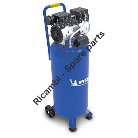 Ricambi Michelin per Compressore MVX 50/1