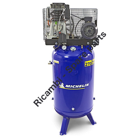 Ricambi Michelin per Compressore MVX 300-678