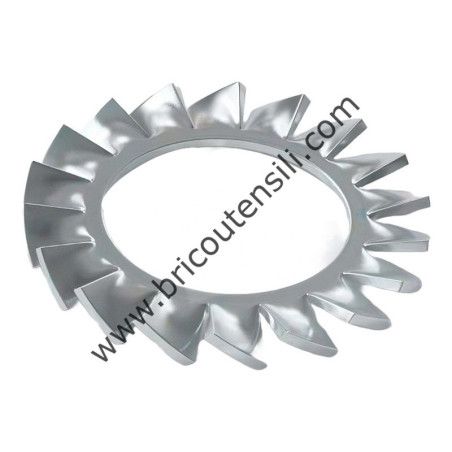RONDELLA POMOLO FILTRO MCV3100TS
