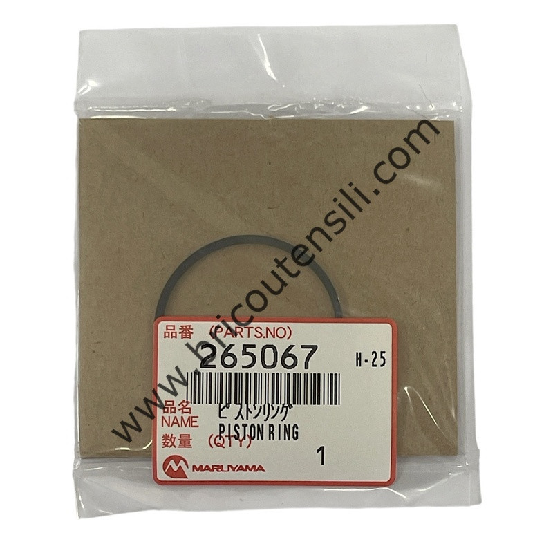 Piston Ring