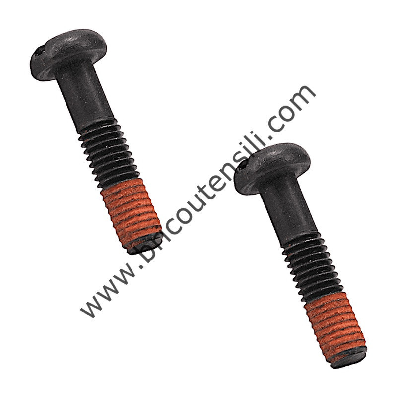SCREW M5X22 X 6221DW