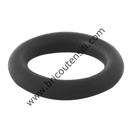 O-ring