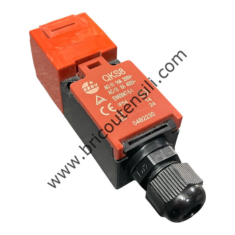 SAFETY MICROSWITCH