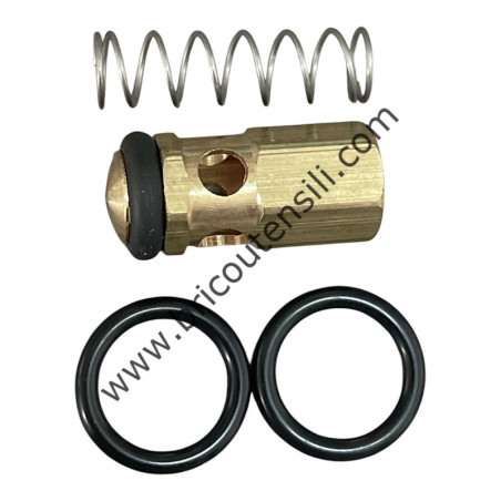 KIT 71 LW NON-RETURN VALVE REPAIR