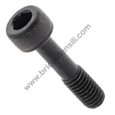 HEX SOCKET HEAD BOLT M6X30 /EM4350