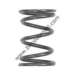 VALVE SPRING