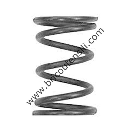 VALVE SPRING