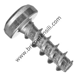 Torx Oval-Head Screw 4x12