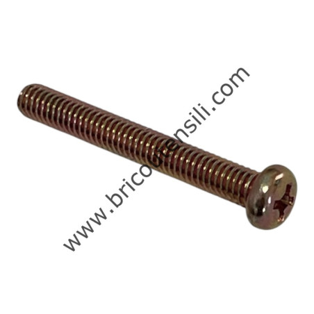 VITE M4X30 X RBC520