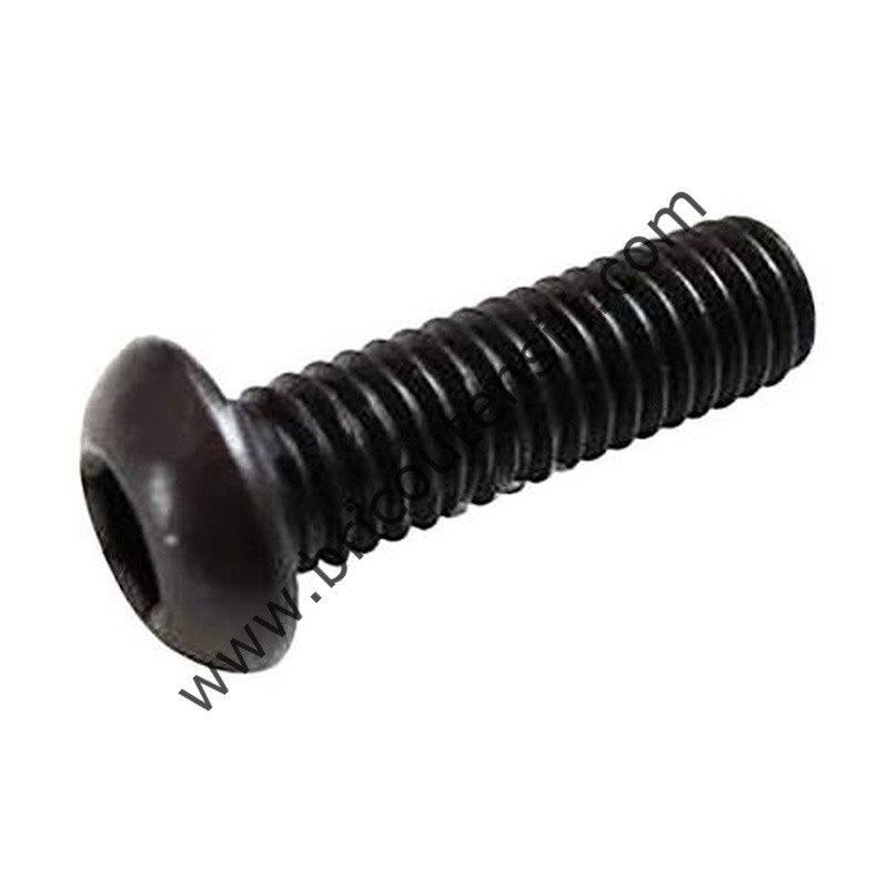 VITE M6X20