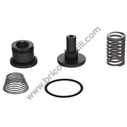 Minimum Pressure Valve Kit for FIAC NK40-NK60 Rotary Compressors