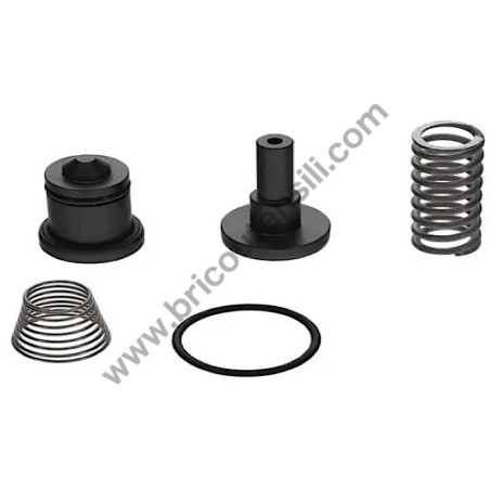 Minimum Pressure Valve Kit for FIAC NK40-NK60 Rotary Compressors (PN 1127190631 EX 7196310000)