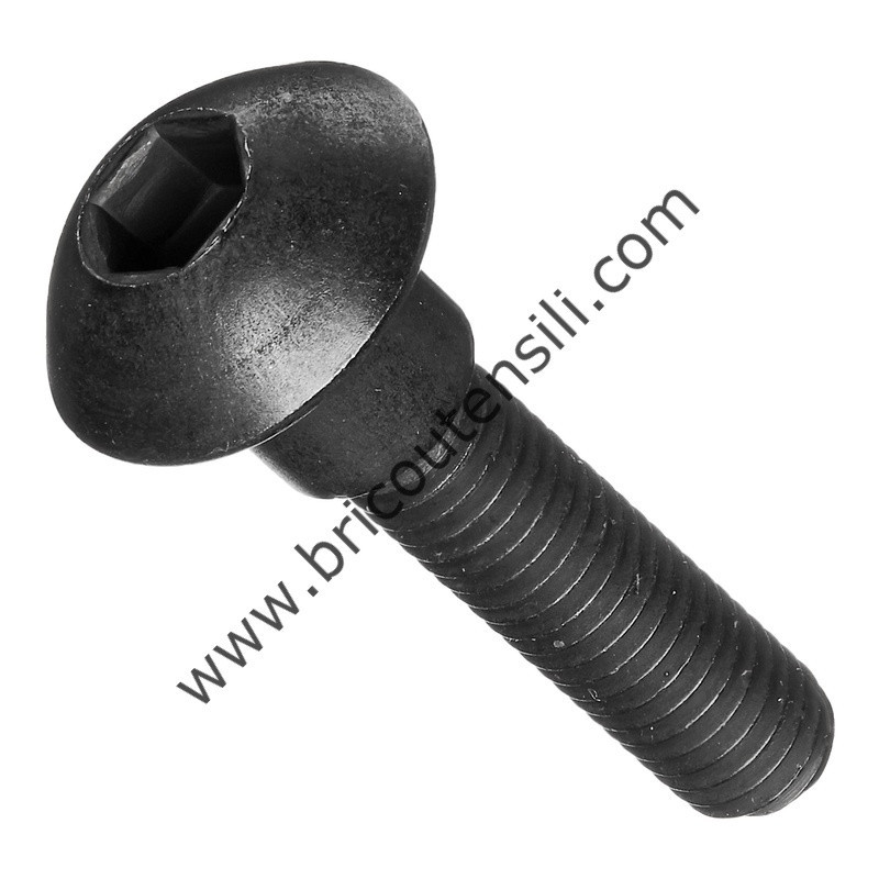 SCREW M5X25