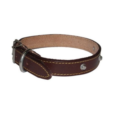 Collare in Cuoio con Borchie per Cane