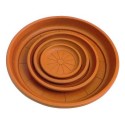 Saucer