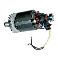 Motore Elettrico Completo per Pialletto Axel FU20290