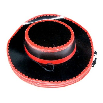 Zorro Hat