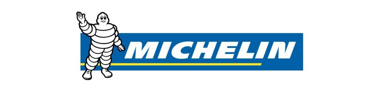Ricambi Idropulitrici Michelin