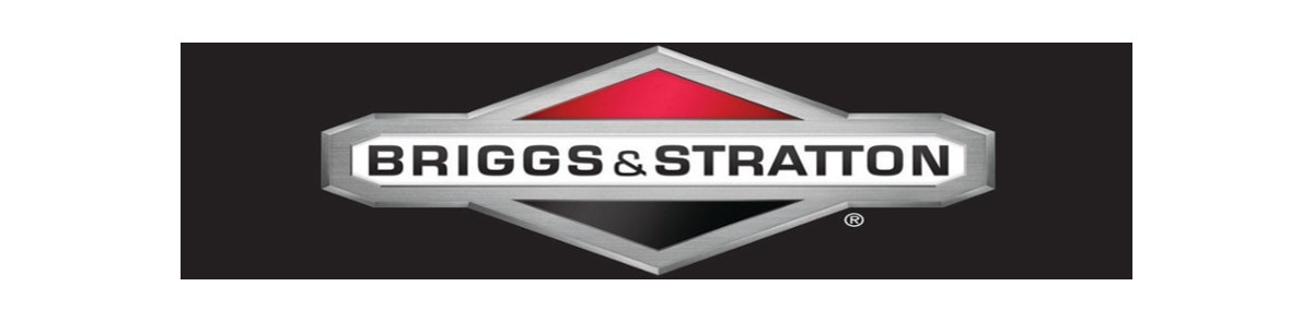 Motori Briggs & Stratton