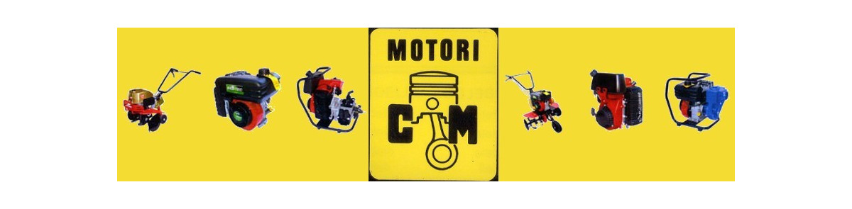 Generatori di Corrente CM Motori
