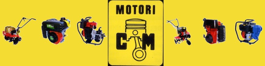 Generatori di Corrente CM Motori